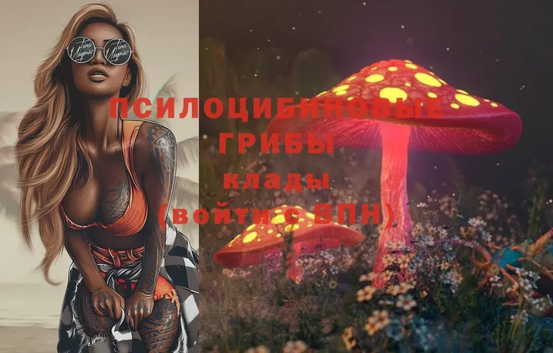 Псилоцибиновые грибы MAGIC MUSHROOMS  кракен ТОР  Краснозаводск 